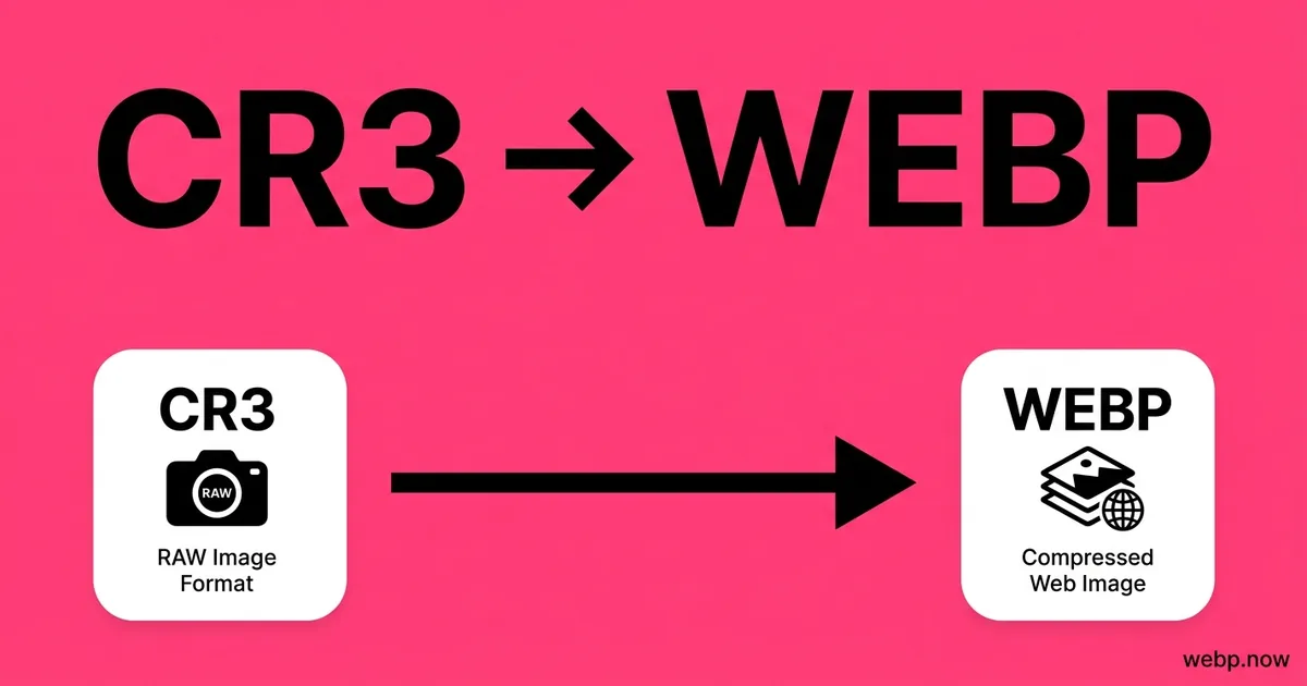 Convert CR3 to WebP Online Free