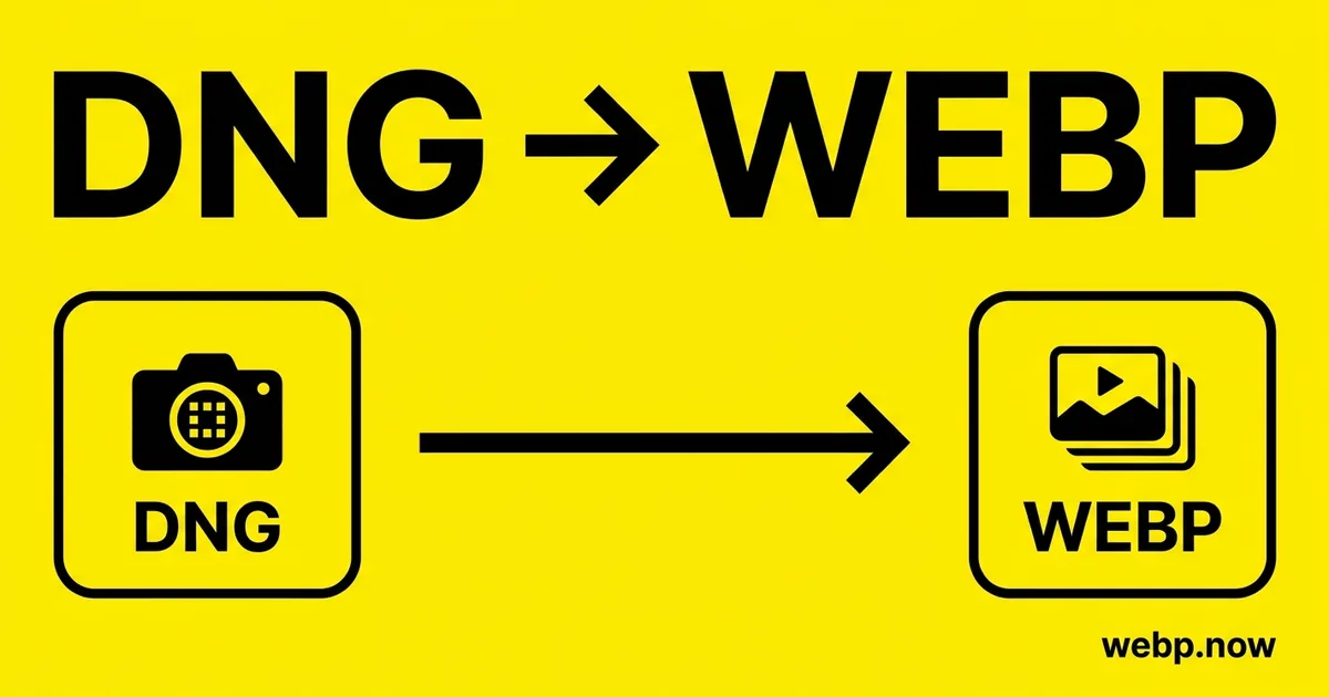 Convert DNG to WebP Online Free