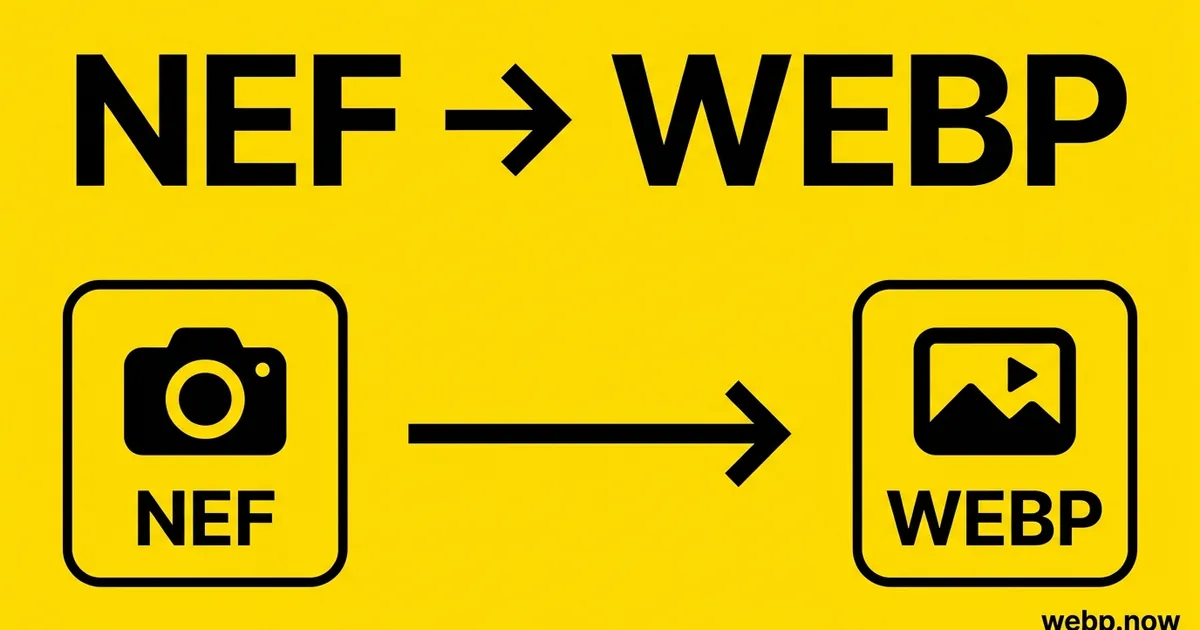 Convert NEF to WebP Online Free