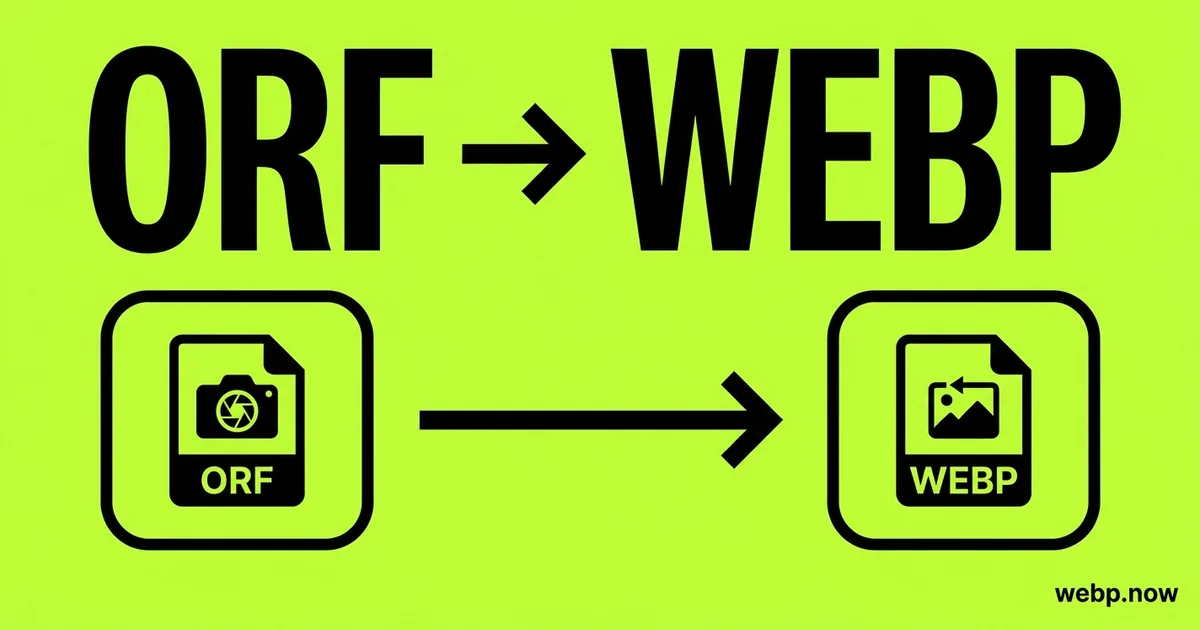 Convert ORF to WebP Online Free