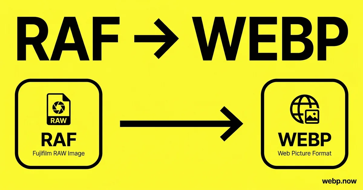 Convert RAF to WebP Online Free