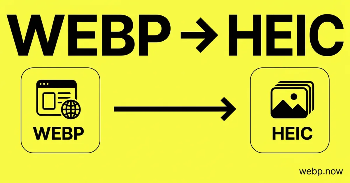 Convert WebP to HEIC Online Free