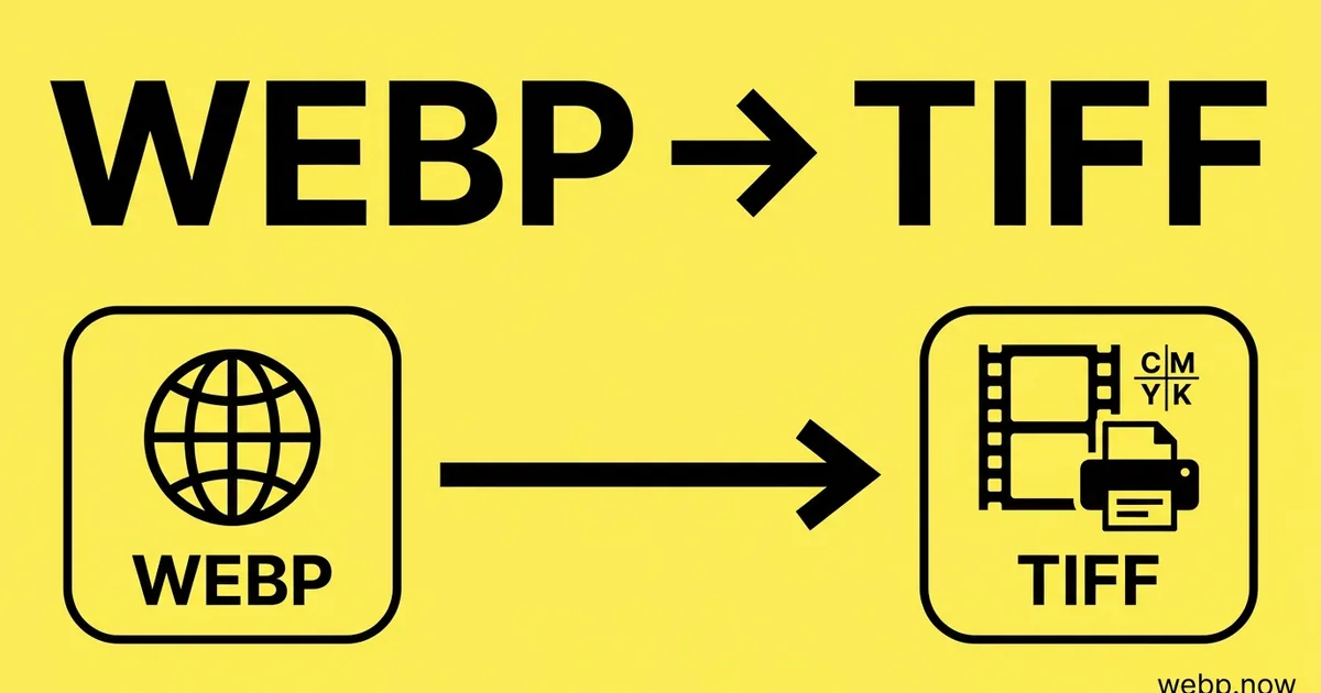 Convert WebP to TIFF Online Free